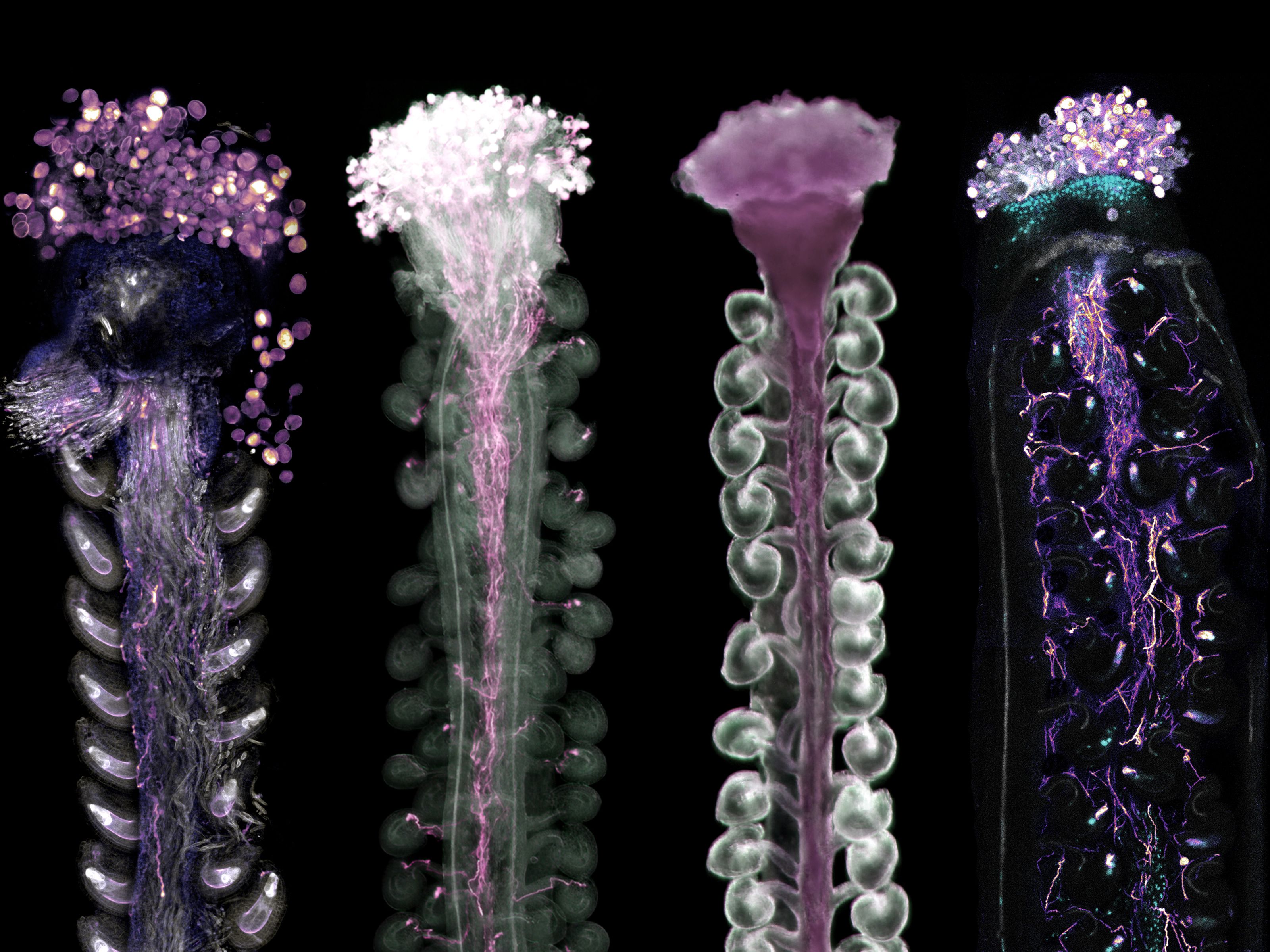 Reimagined care delivery and patient-centered technology